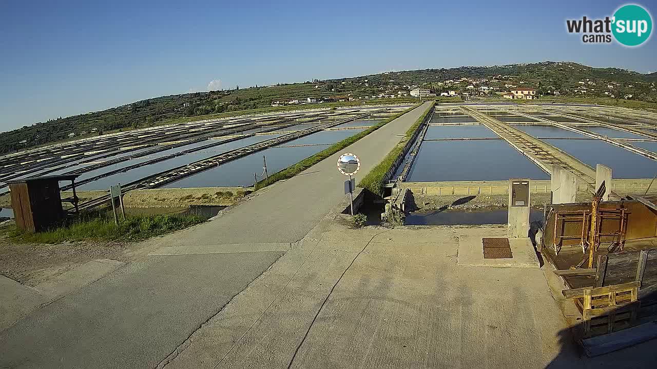 Krajinski Park Sečoveljske Soline