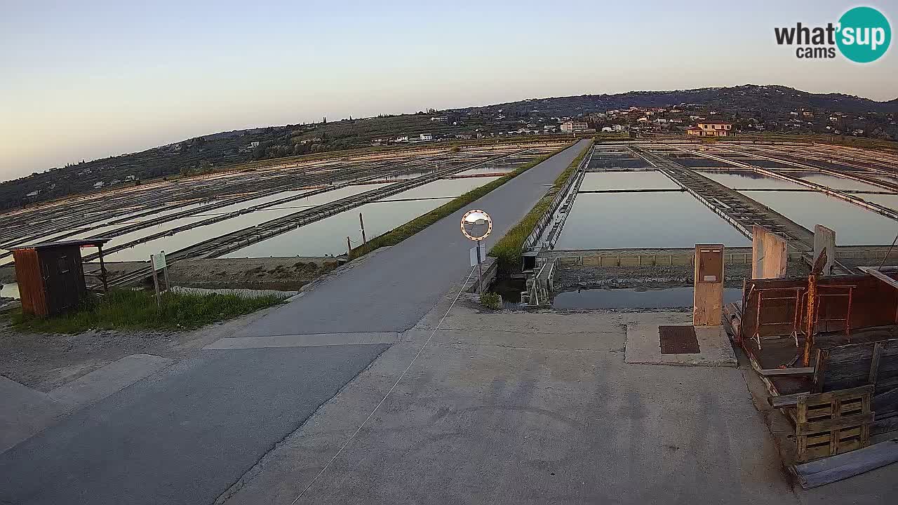 Sezza – Panorama e le saline