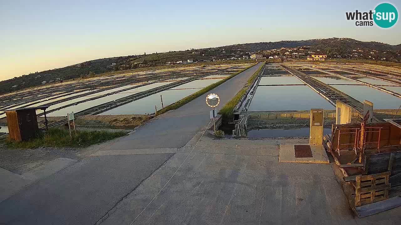 Sečovlje Salina Parque Natural