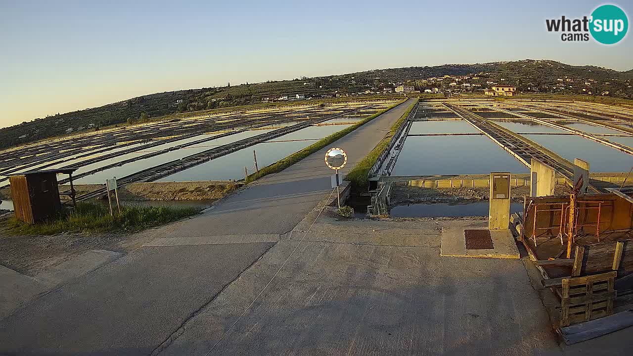 Sečovlje Salina Parque Natural