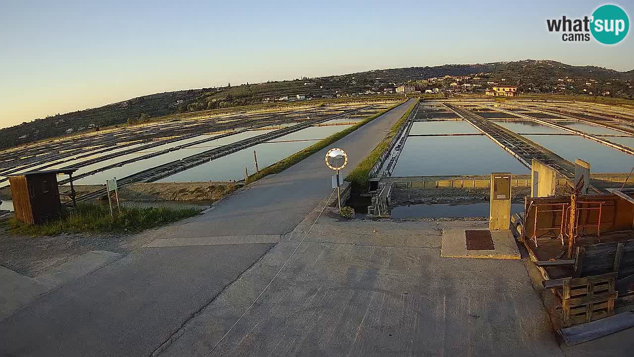 Sečovlje Salina Parque Natural
