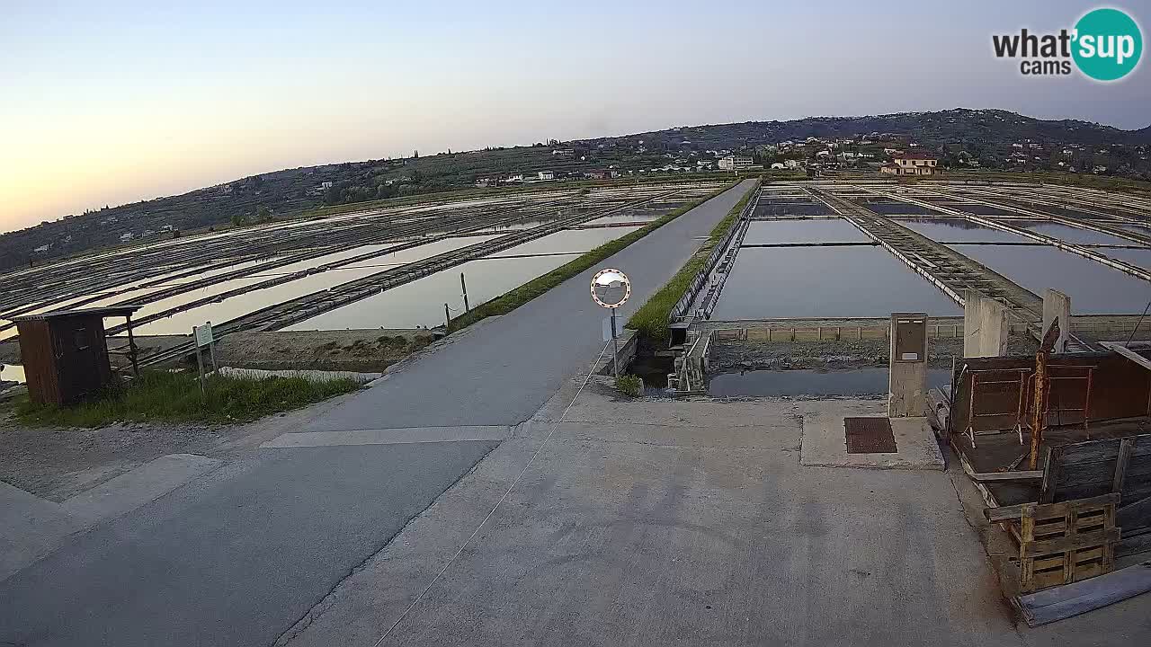 Sečovlje Salina Parque Natural