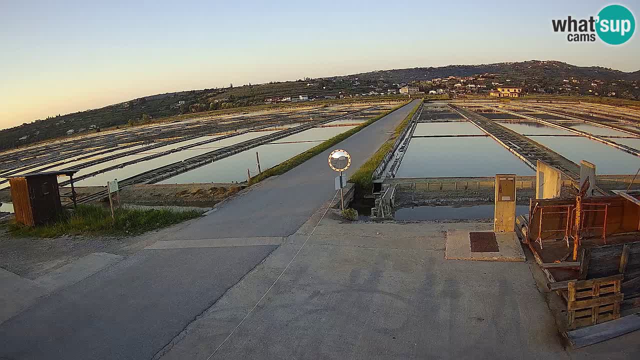 Sezza – Panorama e le saline