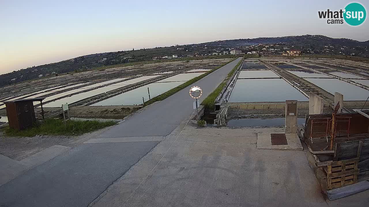 ﻿Sečovlje Salina Nature Park – KPSS