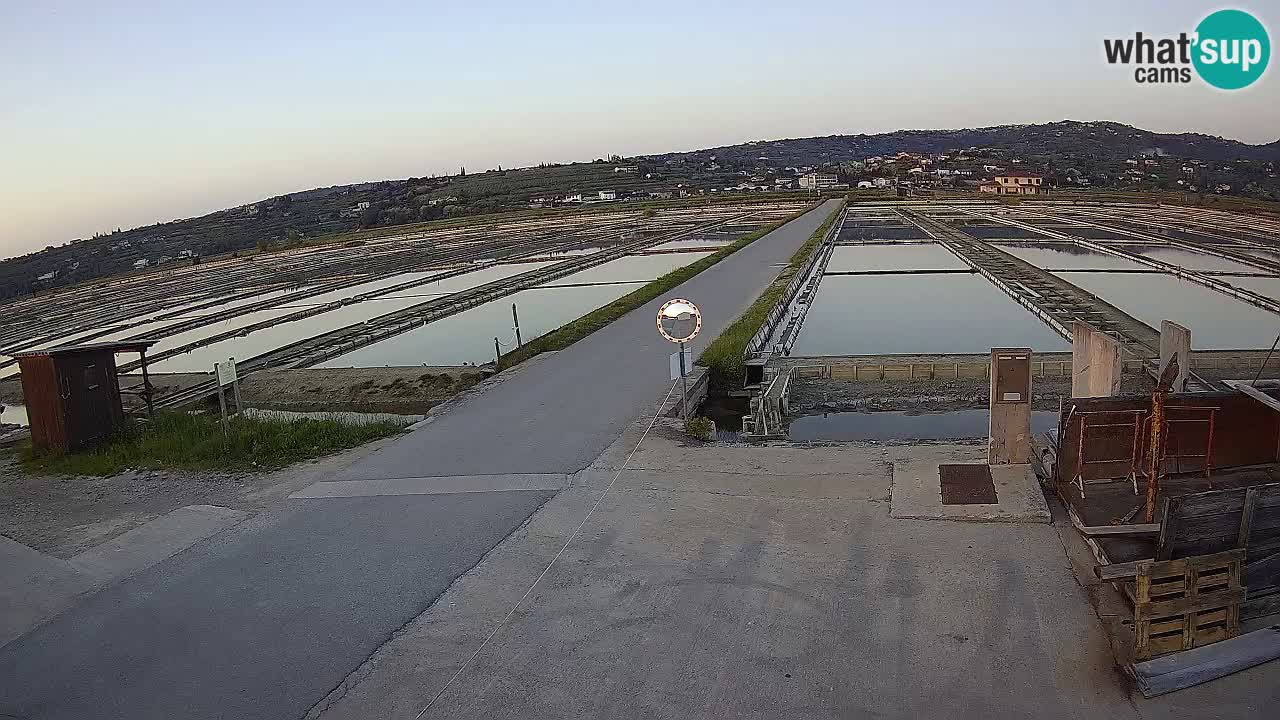 Sečovlje Salina Parque Natural