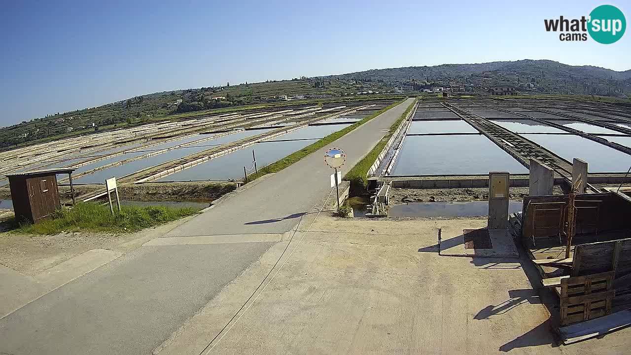 Park prirode Sečovlje Salina