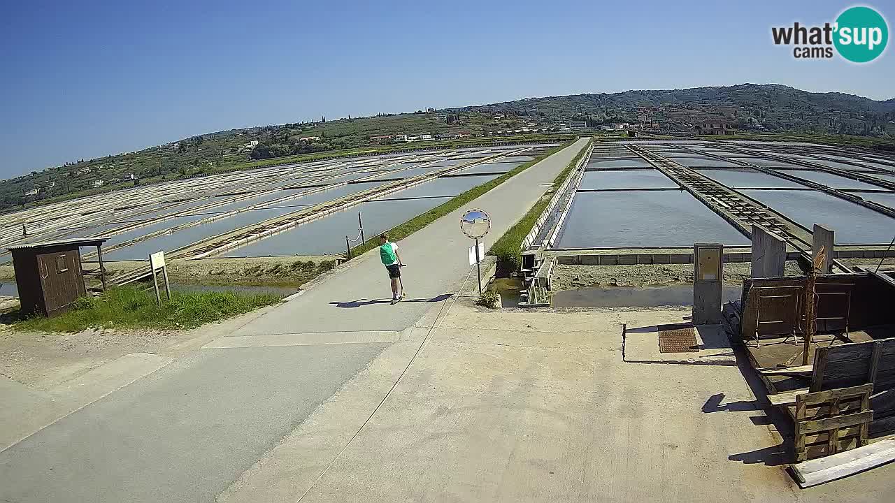 Park prirode Sečovlje Salina