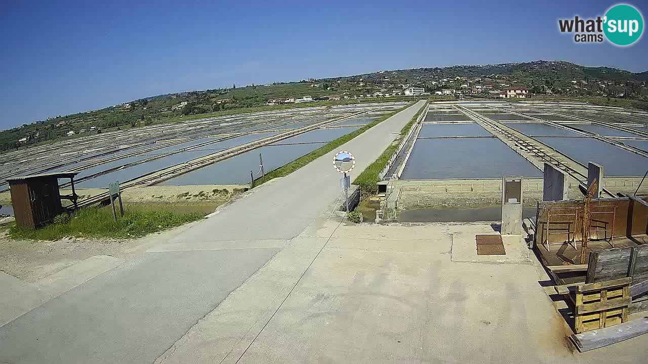 Park prirode Sečovlje Salina