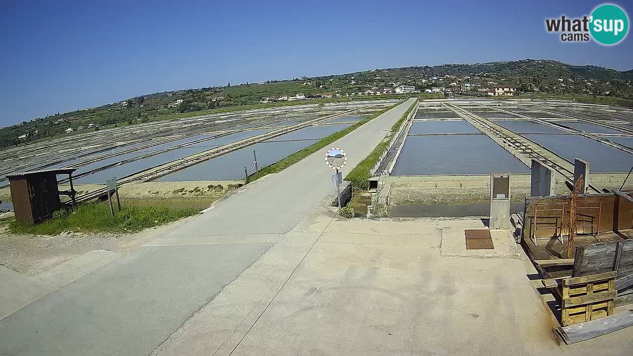 Parco Naturale Saline di Sicciole