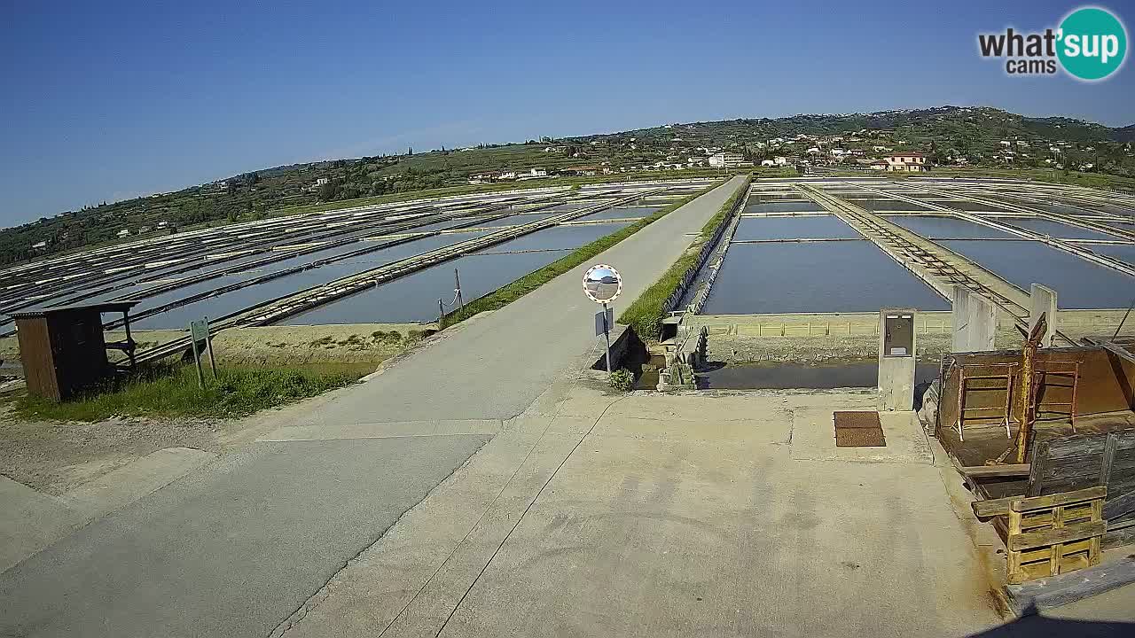﻿Sečovlje Salina Nature Park – KPSS