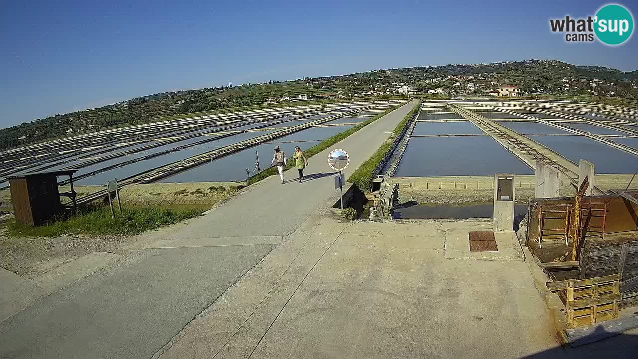 Sezza – Panorama e le saline