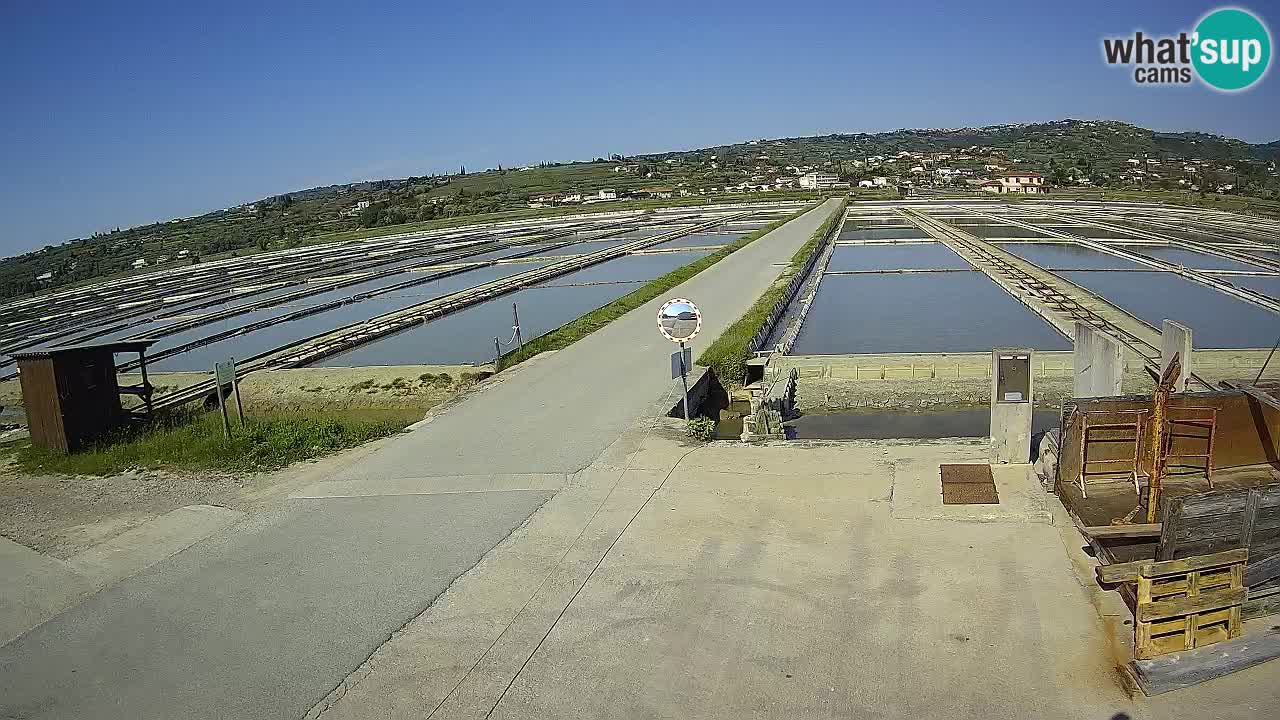 Parco Naturale Saline di Sicciole