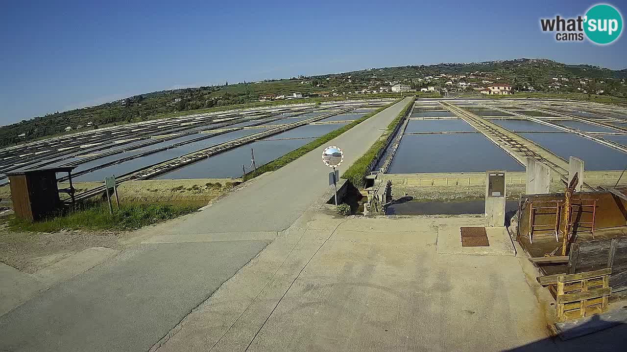 Krajinski Park Sečoveljske Soline