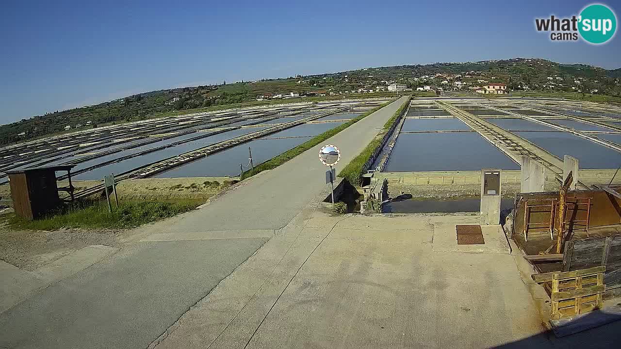 Parco Naturale Saline di Sicciole