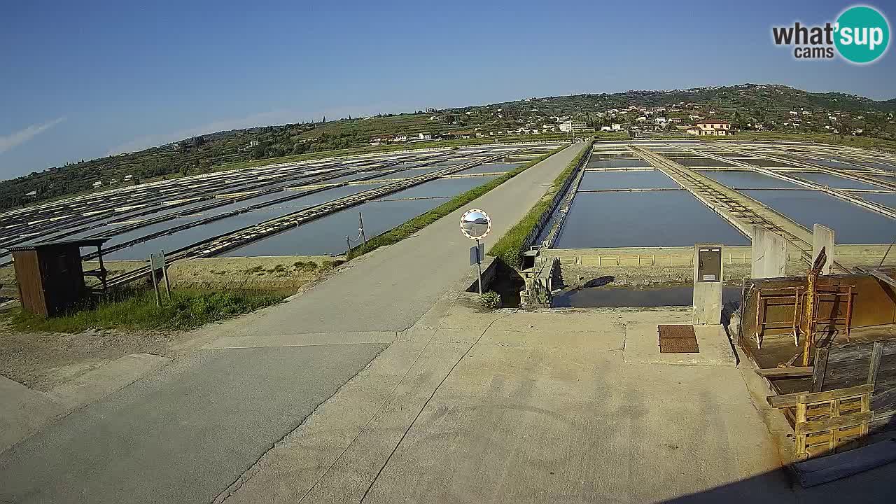 Parco Naturale Saline di Sicciole