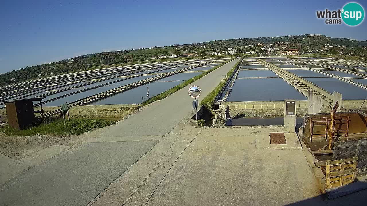 Sezza – Panorama e le saline