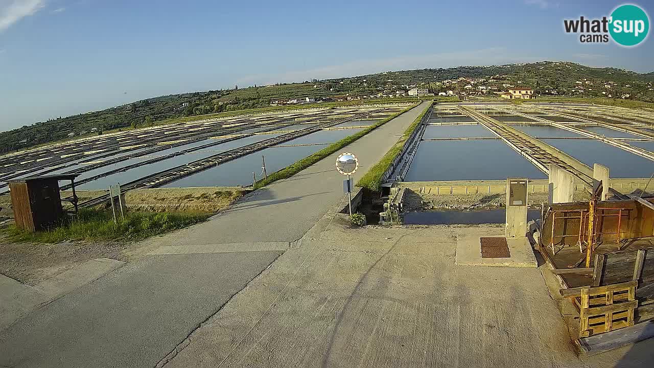 Sečovlje Salina Nature Park