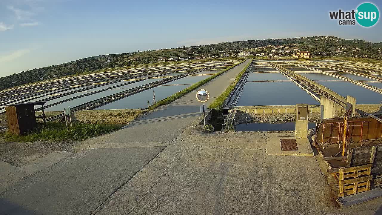 ﻿Sečovlje Salina Nature Park – KPSS