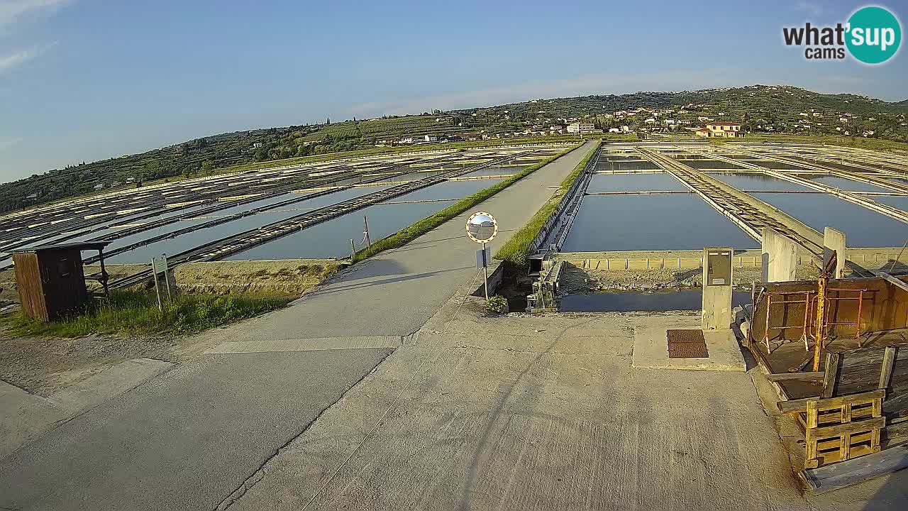 Sečovlje Salina Nature Park