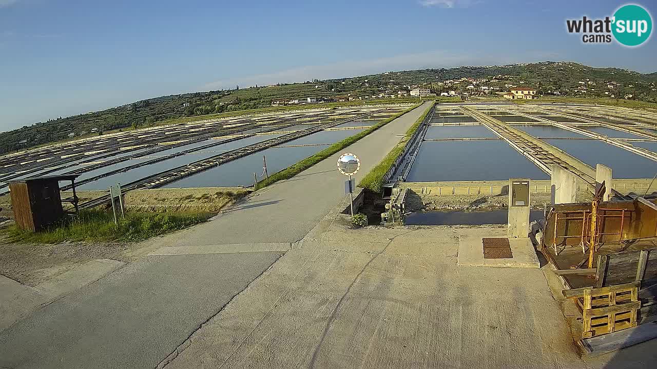 ﻿Sečovlje Salina Nature Park – KPSS