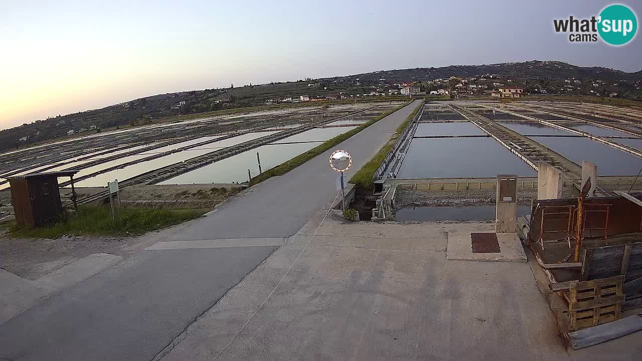 Parco Naturale Saline di Sicciole