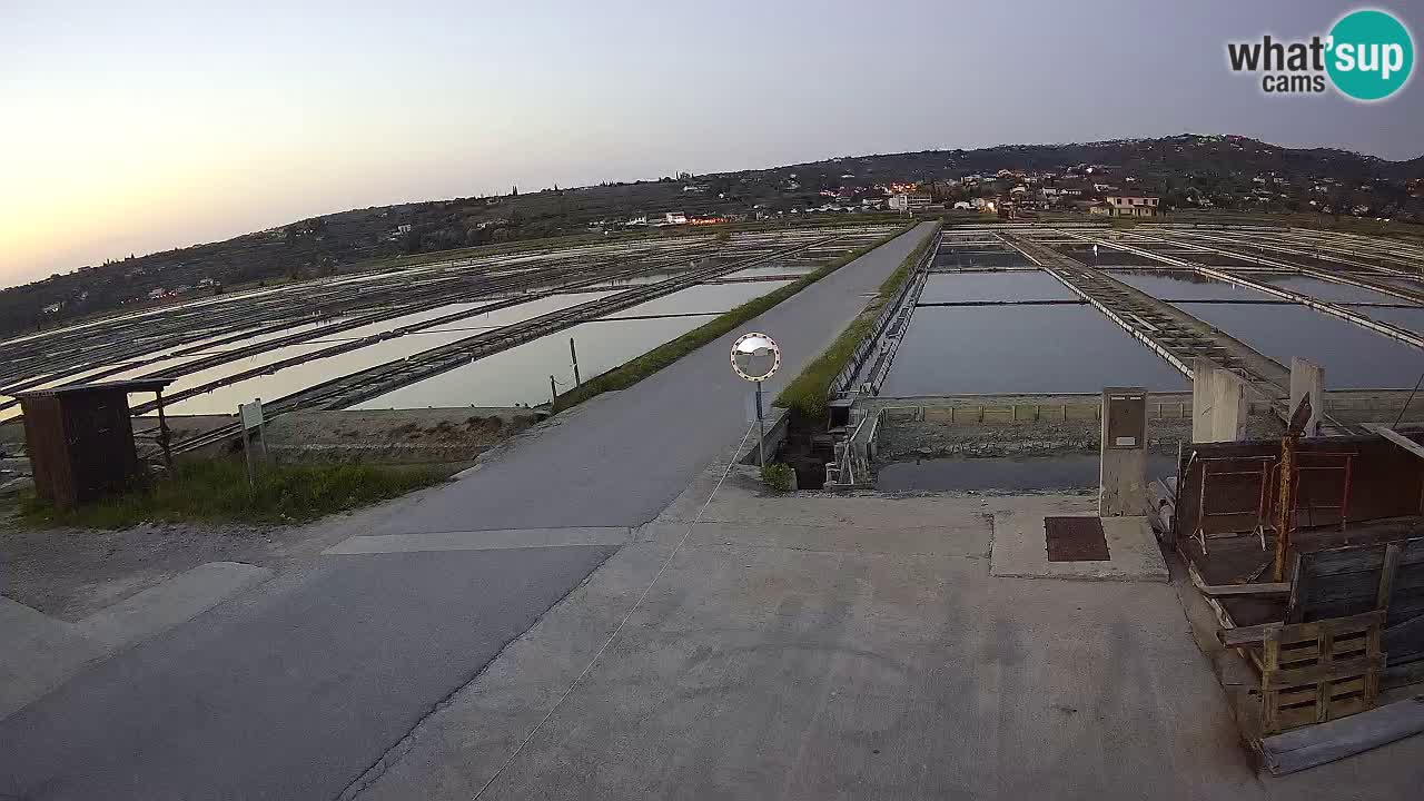 ﻿Sečovlje Salina Nature Park – KPSS
