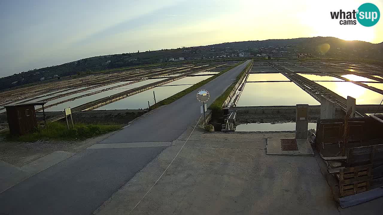 ﻿Sečovlje Salina Nature Park – KPSS