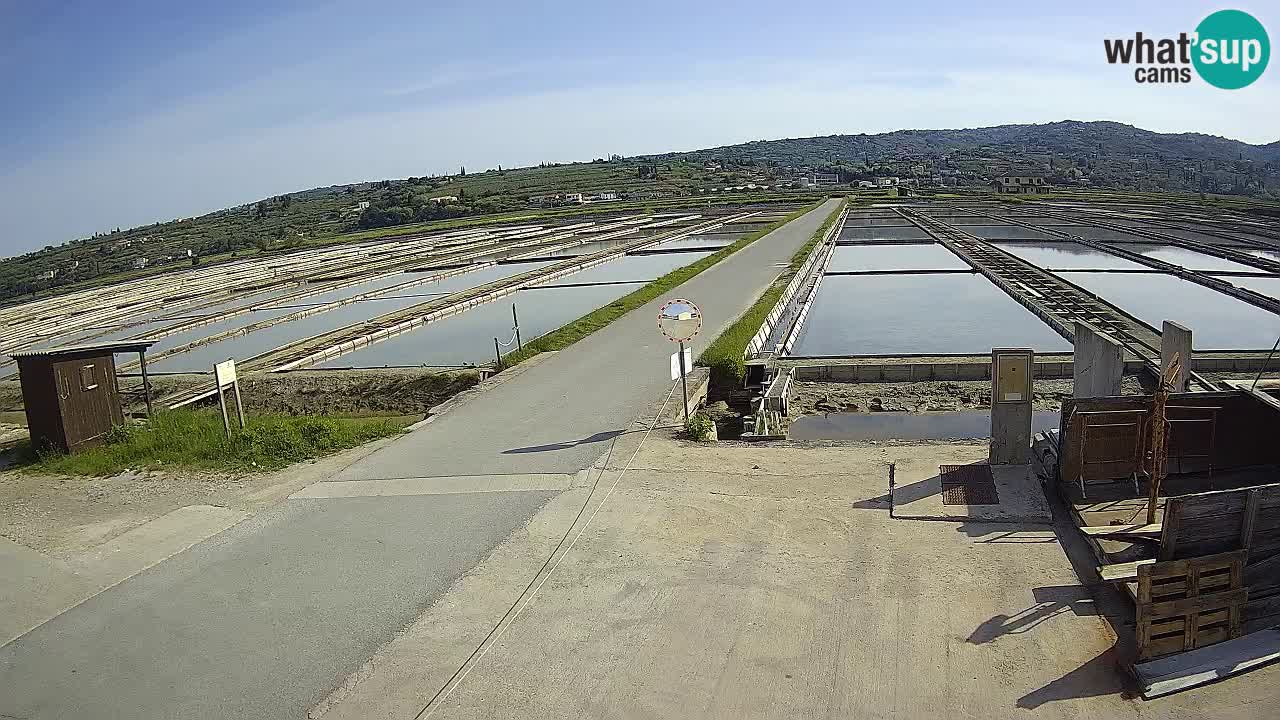Parco Naturale Saline di Sicciole