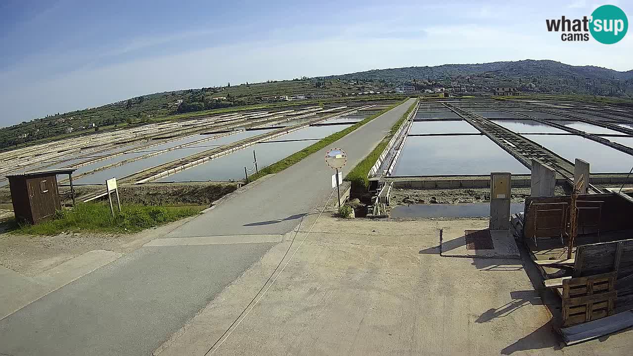 ﻿Sečovlje Salina Nature Park – KPSS
