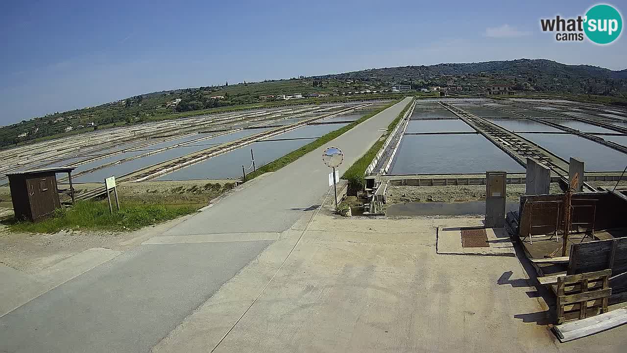﻿Sečovlje Salina Nature Park – KPSS