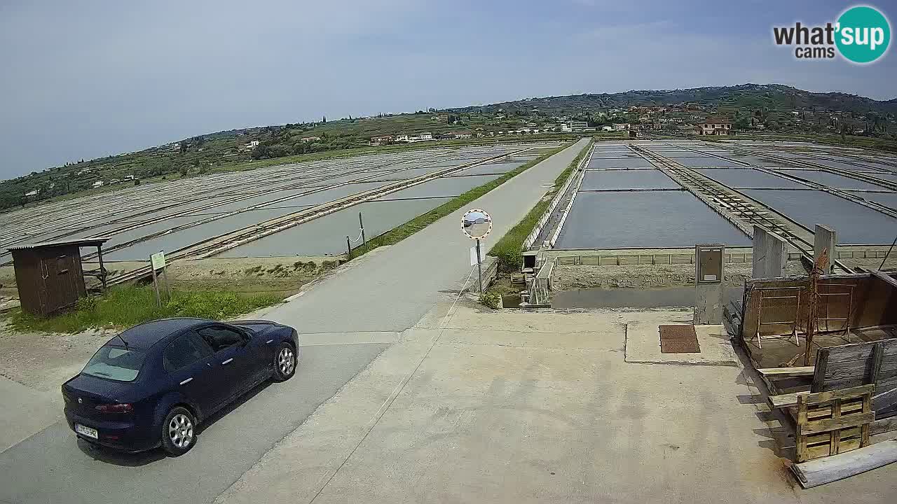 Park prirode Sečovlje Salina