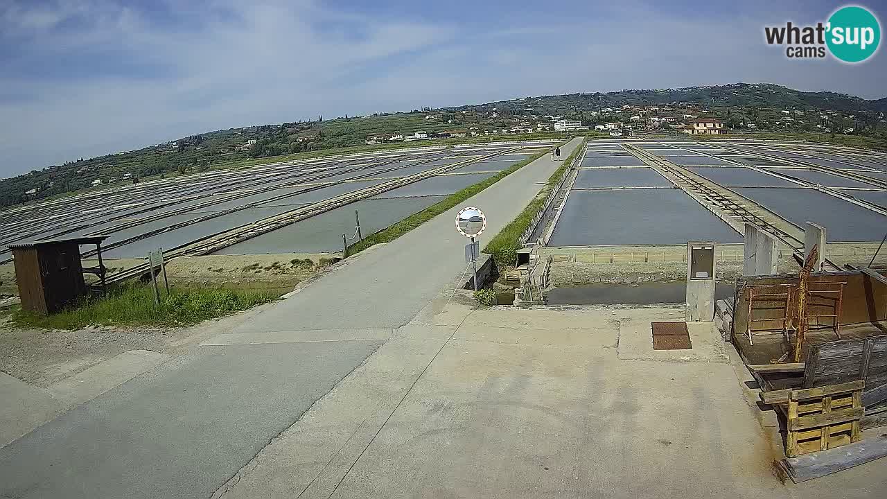 Krajinski Park Sečoveljske Soline