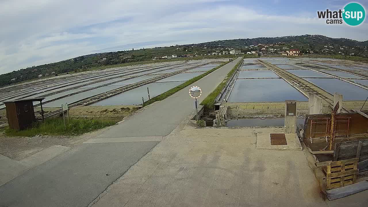 Sečovlje Salina Parque Natural