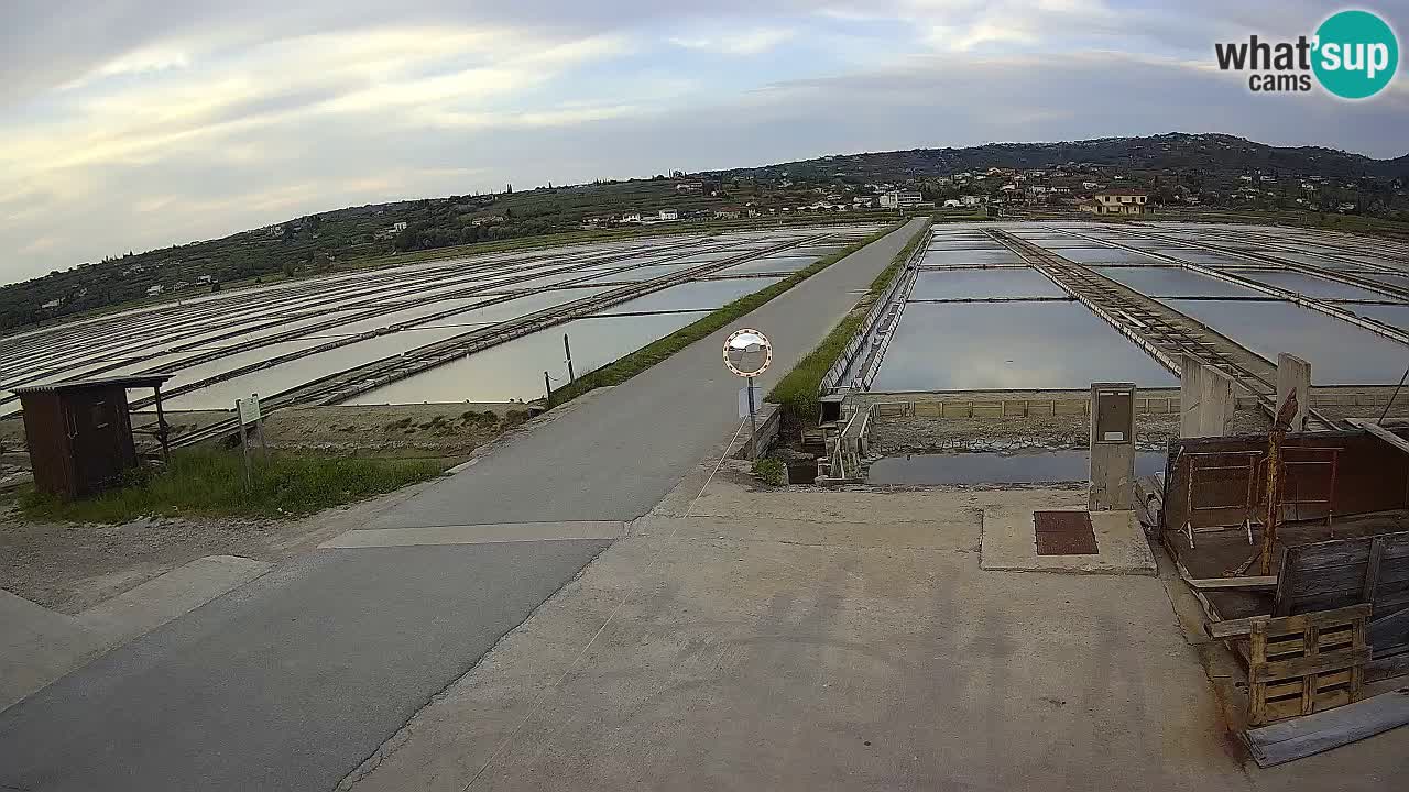 Krajinski Park Sečoveljske Soline