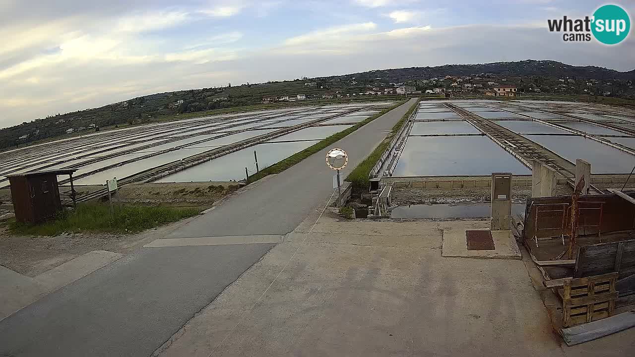 ﻿Sečovlje Salina Nature Park – KPSS