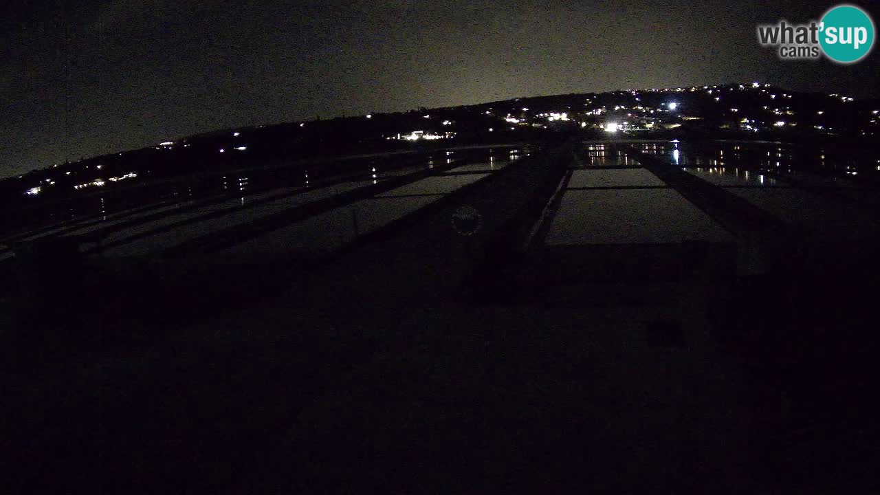 Krajinski Park Sečoveljske Soline