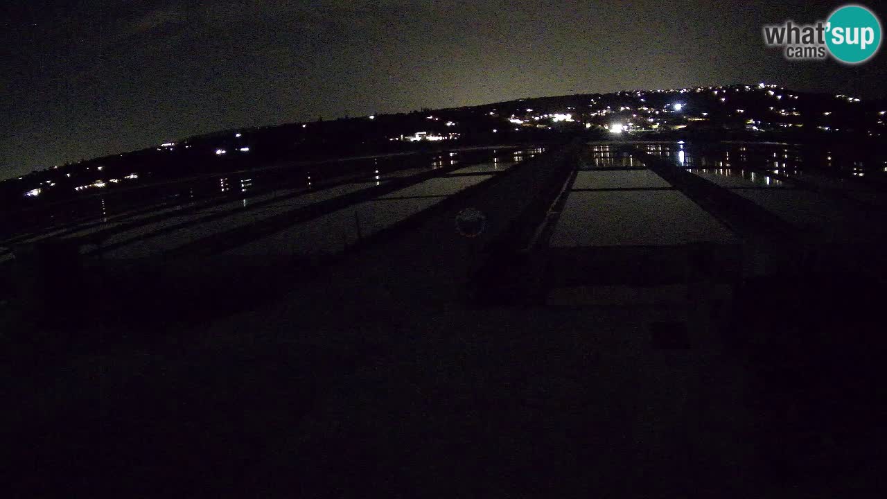 Sečovlje Salina Nature Park