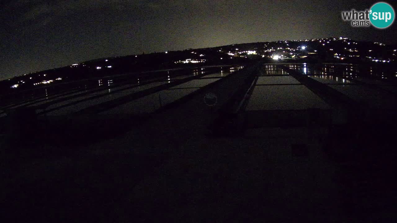 Sečovlje Salina Nature Park