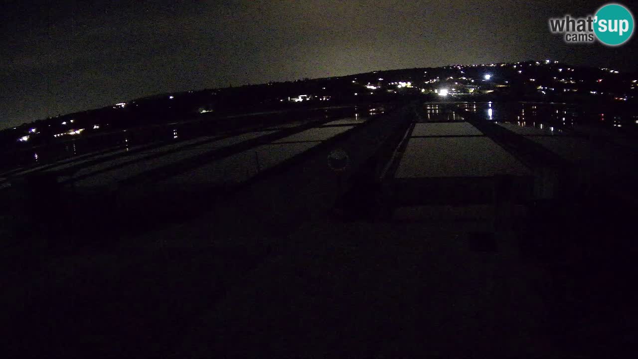 ﻿Sečovlje Salina Nature Park – KPSS