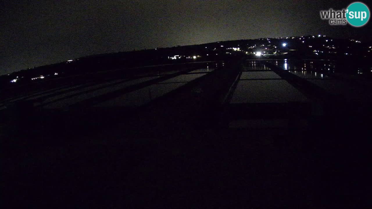 Krajinski Park Sečoveljske Soline