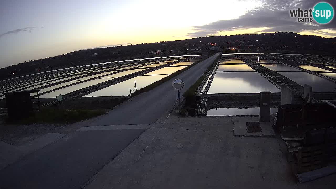 Parco Naturale Saline di Sicciole