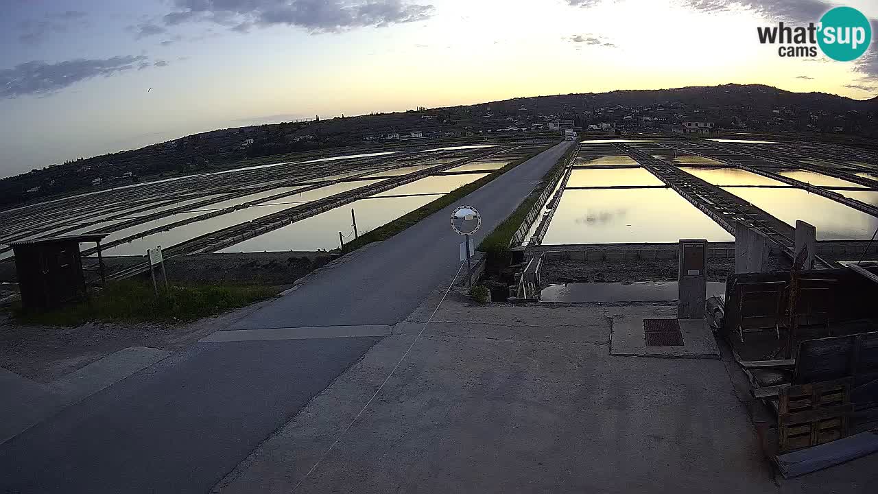 Parco Naturale Saline di Sicciole