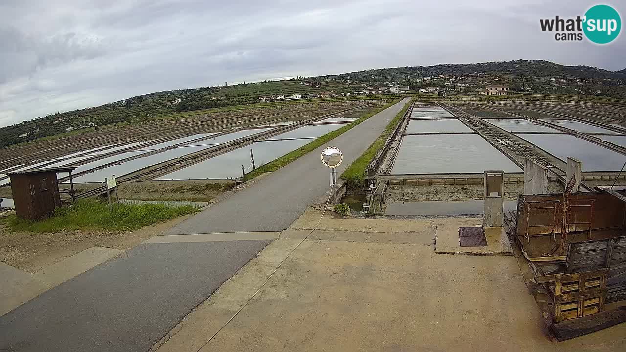 Sečovlje Salina Nature Park