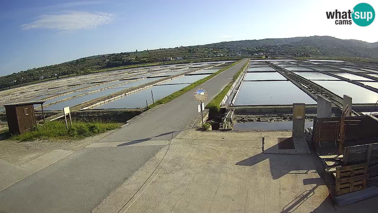 Sečovlje Salina Nature Park
