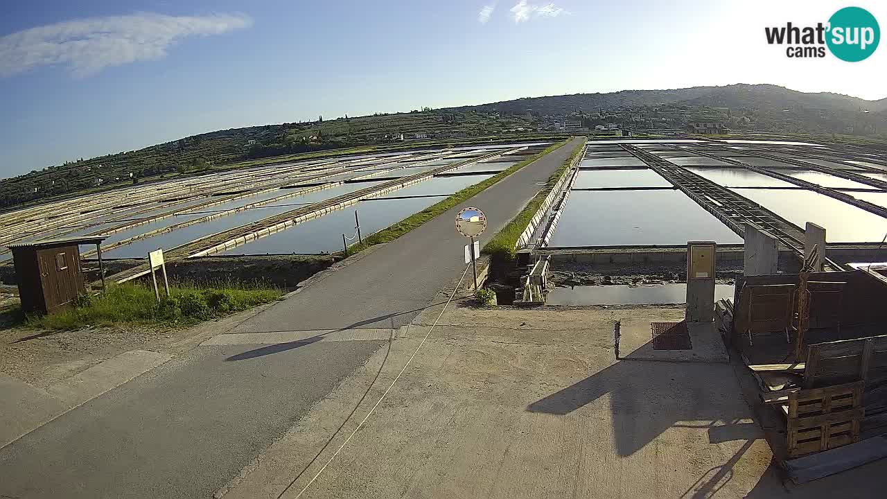 Sezza – Panorama e le saline