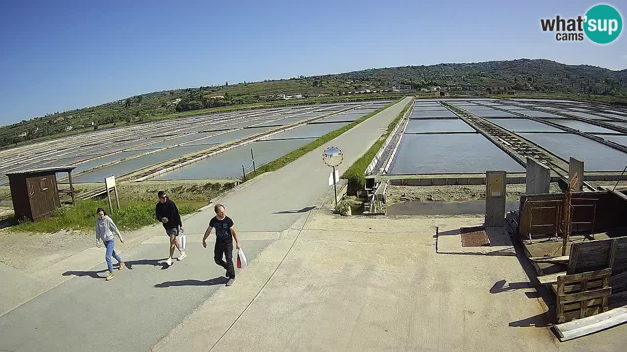 ﻿Sečovlje Salina Nature Park – KPSS