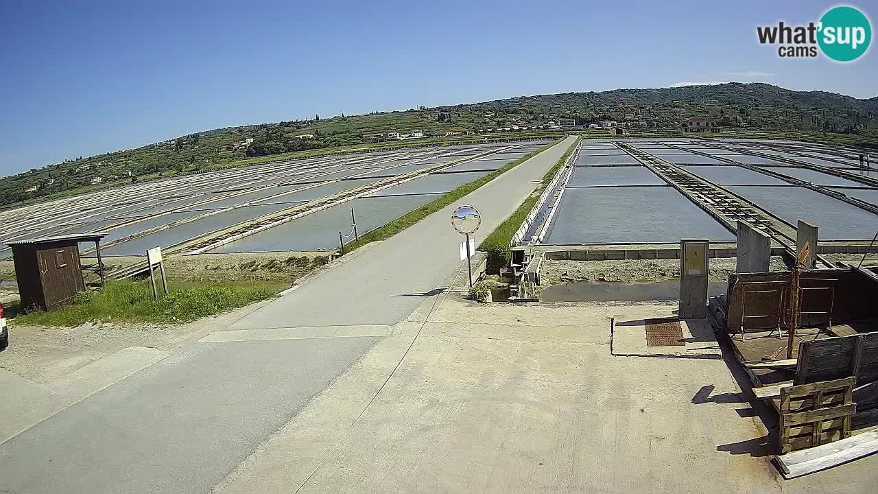 Sečovlje Salina Parque Natural