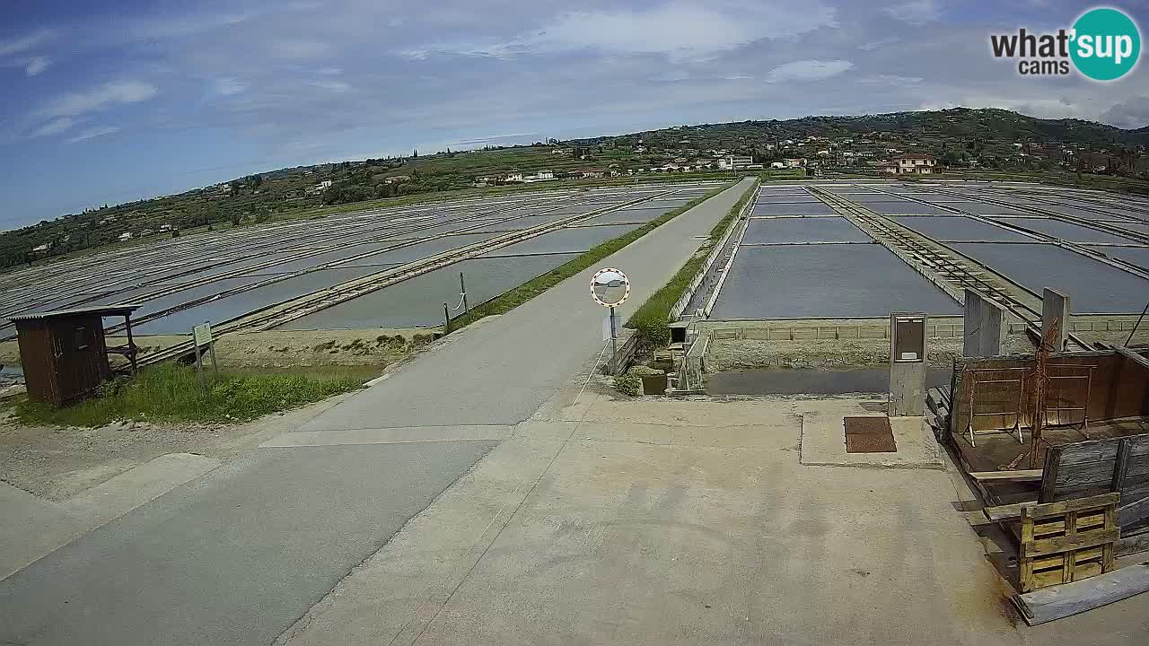 Sečovlje Salina Nature Park
