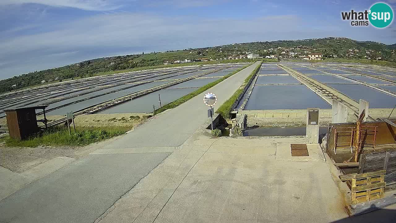 ﻿Sečovlje Salina Nature Park – KPSS