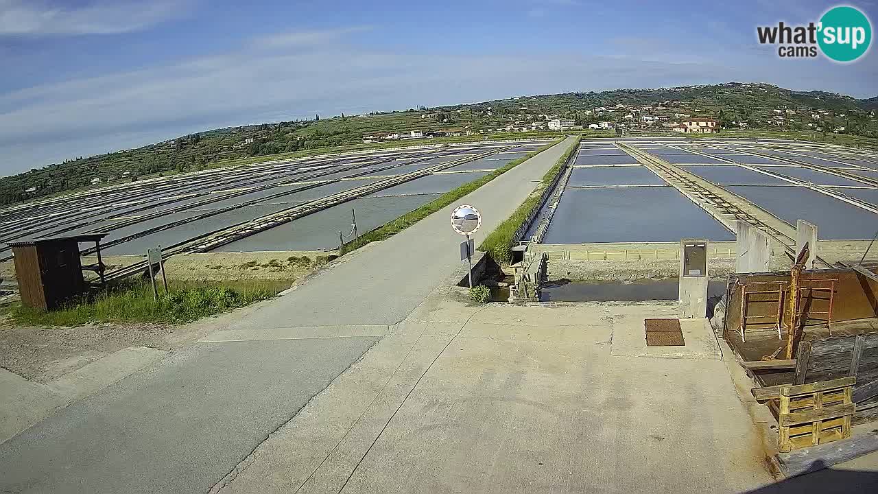 Krajinski Park Sečoveljske Soline